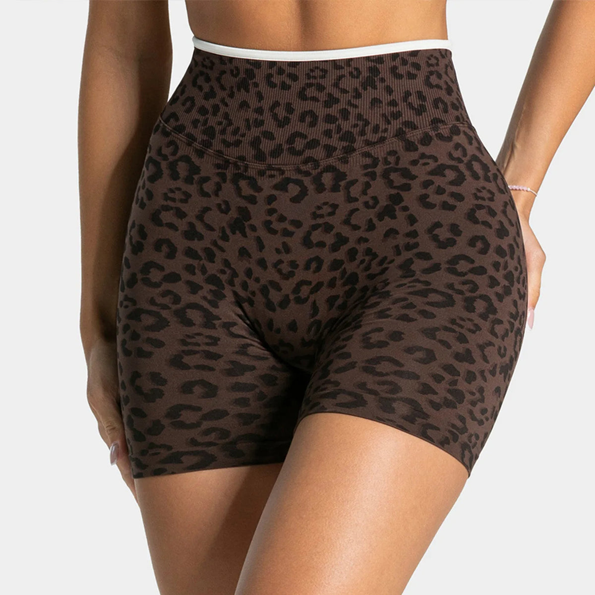 Leopard Seamless Shorts